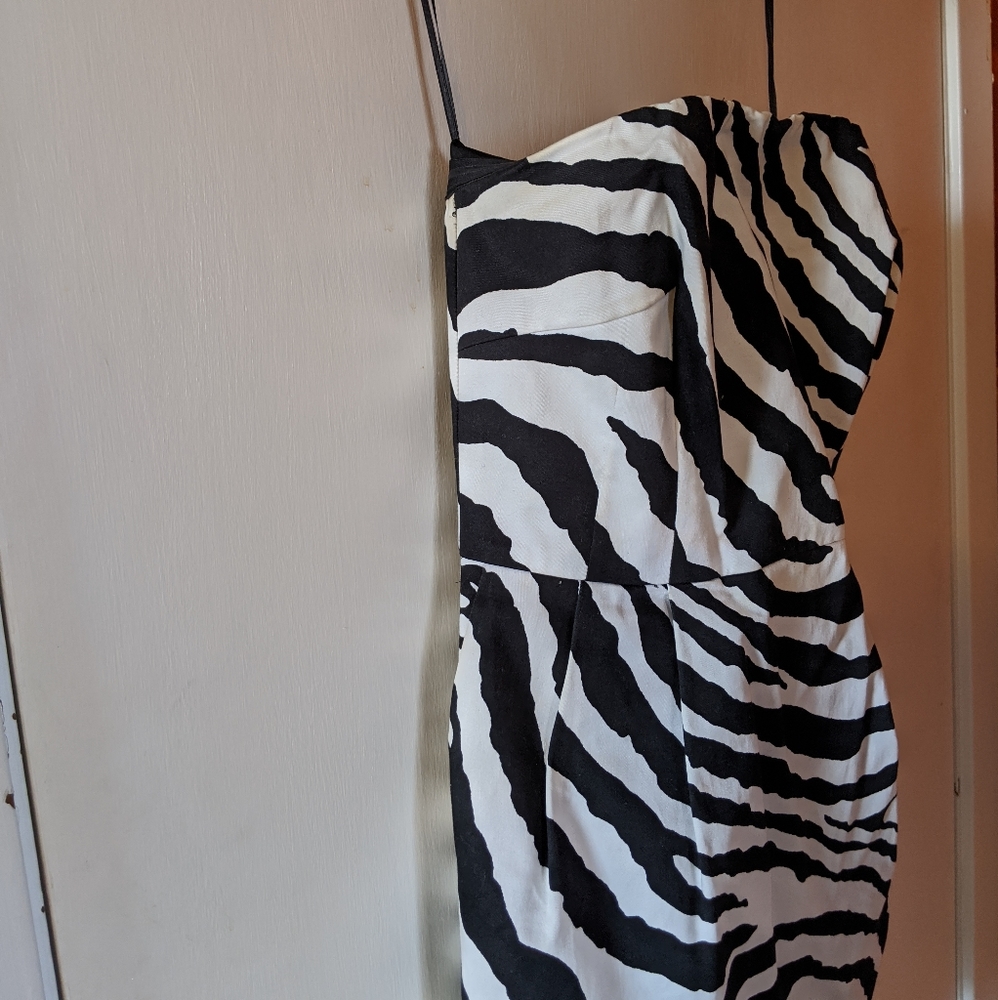 Zebra Print Dress